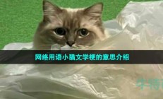 小猫文学是什么梗-网络用语小猫文学梗的意思介绍