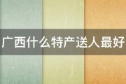 广西什么特产送人最好 