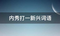 内秀打一新兴词语 