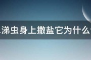 往鼻涕虫身上撒盐它为什么会死 