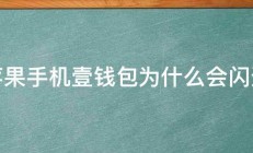 苹果手机壹钱包为什么会闪退 