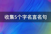 收集5个字名言名句 