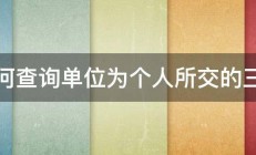 如何查询单位为个人所交的三金 