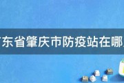 广东省肇庆市防疫站在哪里 