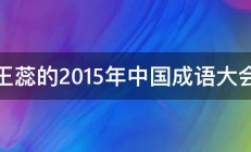 王蕊的2015年中国成语大会 