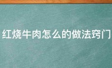 红烧牛肉怎么的做法窍门 