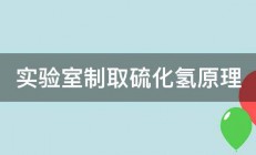 实验室制取硫化氢原理 