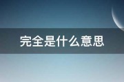 完全是什么意思 