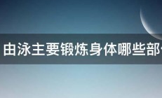 自由泳主要锻炼身体哪些部位 