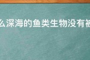 为什么深海的鱼类生物没有被巨大的水压压扁呢 