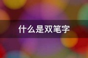 什么是双笔字 