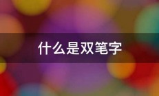 什么是双笔字 