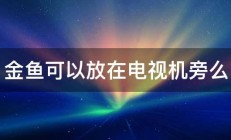 金鱼可以放在电视机旁么 