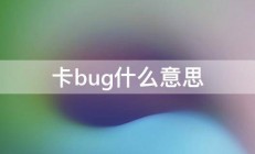 卡bug什么意思 