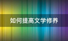 如何提高文学修养 