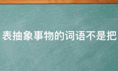 表抽象事物的词语不是把 