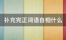 补充完正词语自相什么 