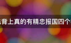 岳飞背上真的有精忠报国四个字吗 