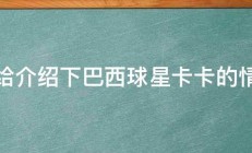 谁给介绍下巴西球星卡卡的情况 