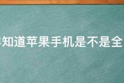 怎样知道苹果手机是不是全网通 