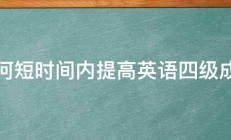 如何短时间内提高英语四级成绩 