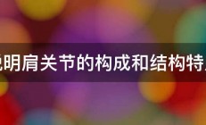 说明肩关节的构成和结构特点 