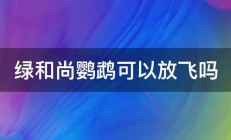 绿和尚鹦鹉可以放飞吗 