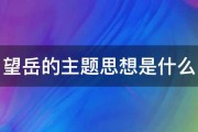 望岳的主题思想是什么 