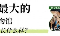 三大镇馆之宝抢先看！看恐龙、观察昆虫、研究矿石……成都这个新博物馆里还有啥？ 