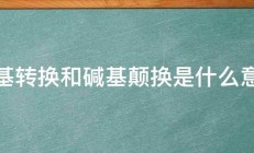 碱基转换和碱基颠换是什么意思 