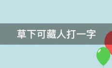 草下可藏人打一字 