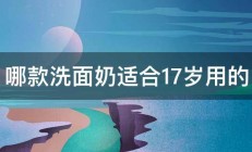 哪款洗面奶适合17岁用的 