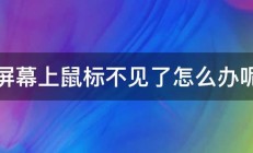 屏幕上鼠标不见了怎么办呢 