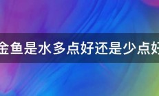 养金鱼是水多点好还是少点好啊 