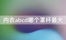 内衣abcd哪个罩杯最大 