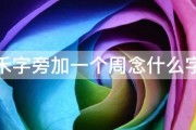 禾字旁加一个周念什么字 