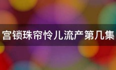 宫锁珠帘怜儿流产第几集 