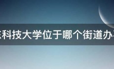 山东科技大学位于哪个街道办事处 