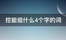 挖能组什么4个字的词 