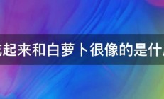 吃起来和白萝卜很像的是什麼 