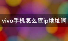 vivo手机怎么查ip地址啊 