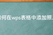 如何在wps表格中添加照片 