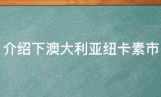 介绍下澳大利亚纽卡素市 