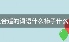 填上合适的词语什么柿子什么黄叶 