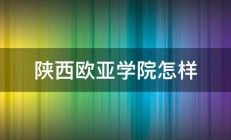 陕西欧亚学院怎样 