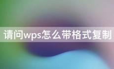 请问wps怎么带格式复制 