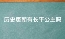 历史唐朝有长平公主吗 