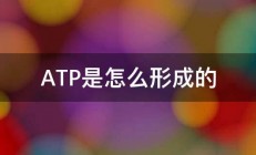 ATP是怎么形成的 