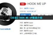 明知道危险却总挑衅我泪腺是什么梗-HOOK ME UP歌曲介绍