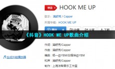 明知道危险却总挑衅我泪腺是什么梗-HOOK ME UP歌曲介绍